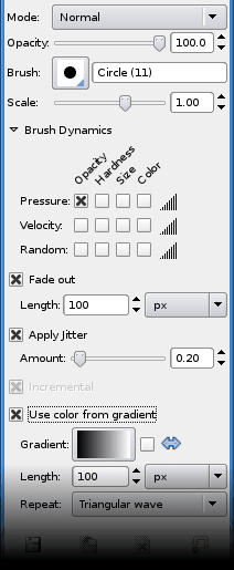 Tool options shared by paint tools